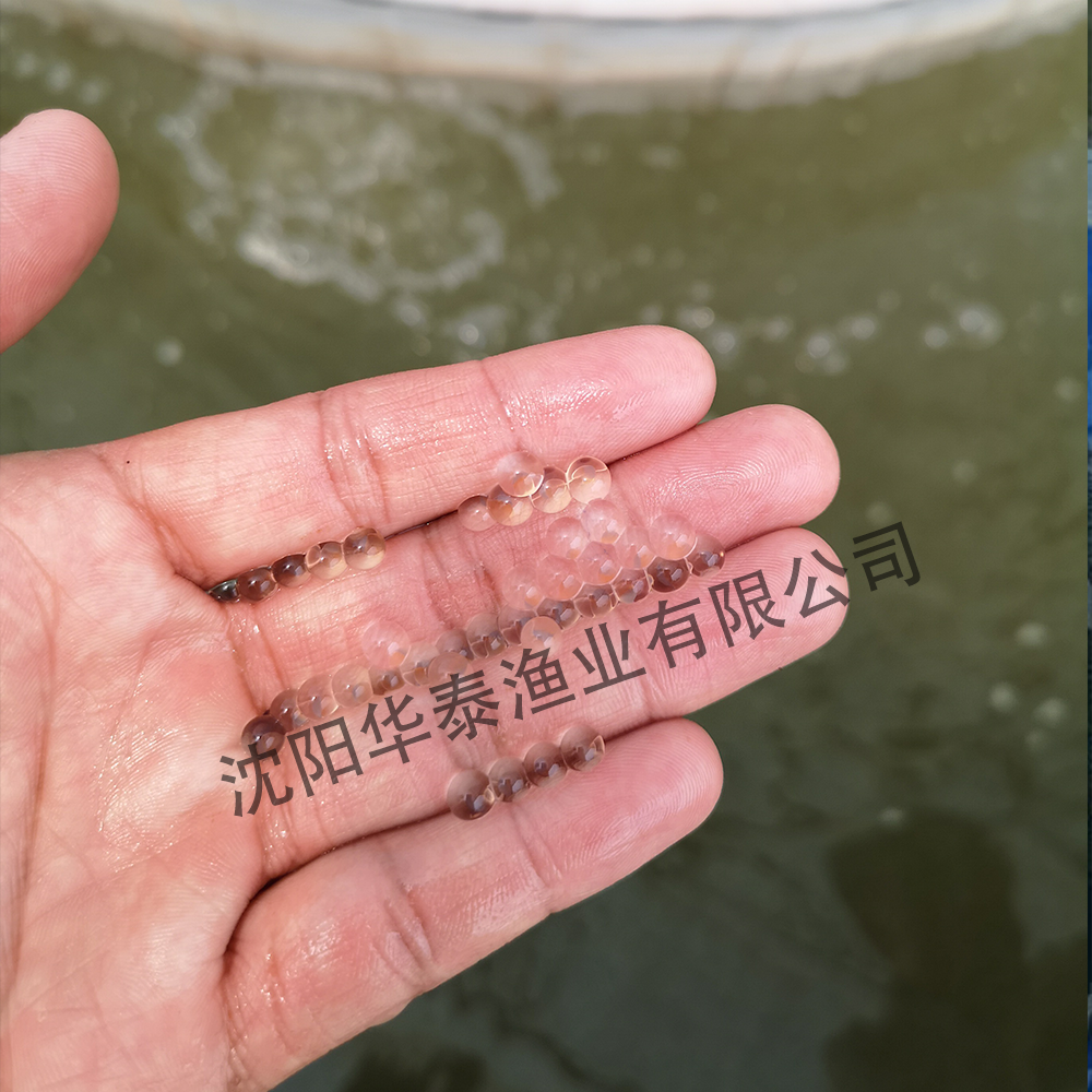 &#21315;&#20159;&#23448;&#32593;&#45;&#21315;&#20159;&#40;&#20013;&#22269;&#41;&#19968;&#31449;&#24335;&#26381;&#21153;&#23448;&#32593;