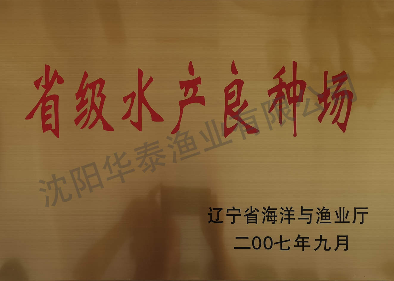 &#21315;&#20159;&#23448;&#32593;&#45;&#21315;&#20159;&#40;&#20013;&#22269;&#41;&#19968;&#31449;&#24335;&#26381;&#21153;&#23448;&#32593;