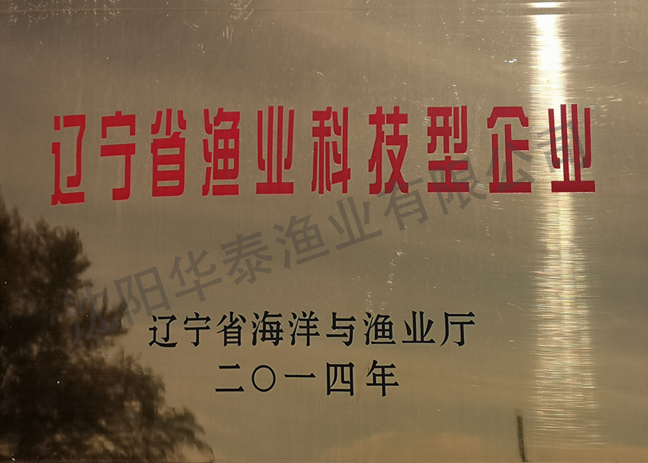 &#21315;&#20159;&#23448;&#32593;&#45;&#21315;&#20159;&#40;&#20013;&#22269;&#41;&#19968;&#31449;&#24335;&#26381;&#21153;&#23448;&#32593;