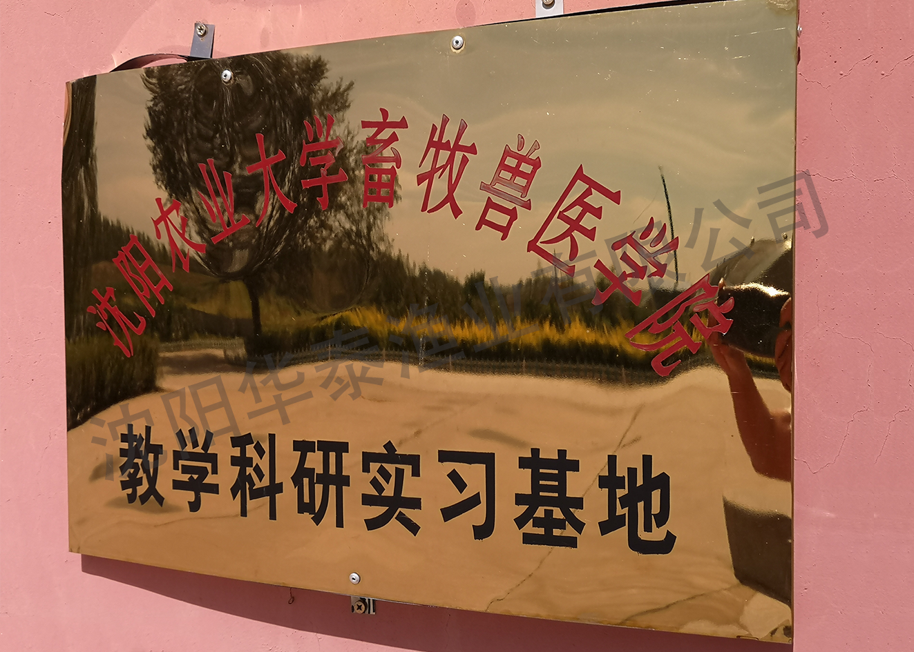 &#21315;&#20159;&#23448;&#32593;&#45;&#21315;&#20159;&#40;&#20013;&#22269;&#41;&#19968;&#31449;&#24335;&#26381;&#21153;&#23448;&#32593;